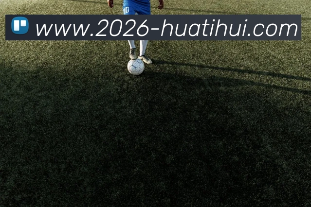 华体会体育APP 封面图